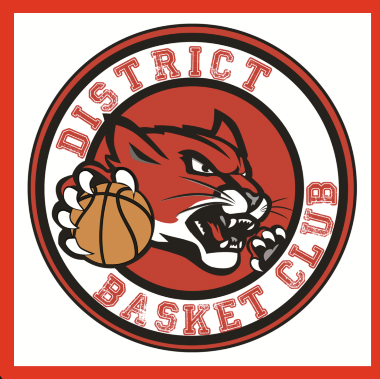 Logo officiel District Basket